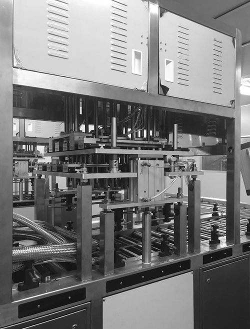 黑皮雞樅菌工廠化生產(chǎn)關(guān)鍵技術(shù)解析